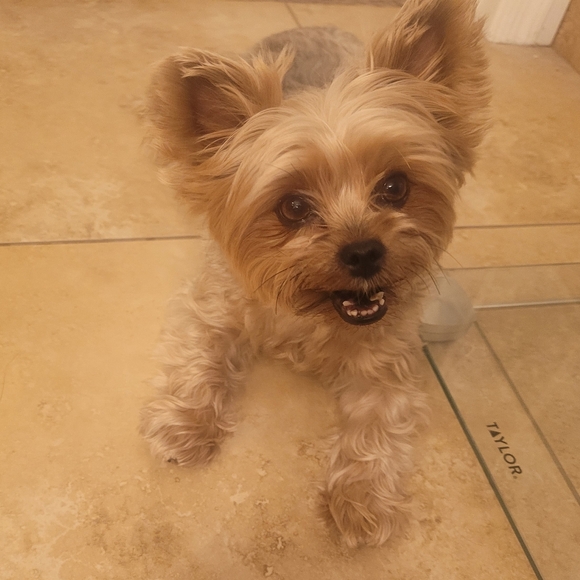 Show Some Posh Love 💕 SHARE SHOW Yours and mine!💕🎶💸 - Picture 6 of 13